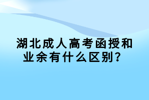 湖北成人高考函授和业余有什么区别？