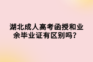 湖北成人高考函授和业余毕业证有区别吗？