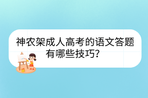 神农架成人高考的语文答题有哪些技巧？