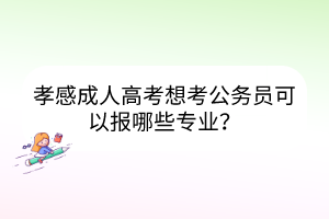 孝感成人高考想考公务员可以报哪些专业？