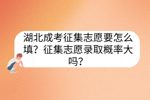 湖北成考征集志愿要怎么填？征集志愿录取概率大吗？