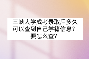 三峡大学成考录取后多久可以查到自己学籍信息？要怎么查？