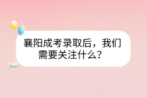 襄阳成考录取后，我们需要关注什么？