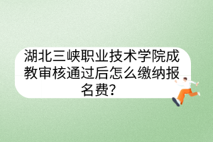 湖北三峡职业技术学院成教审核通过后怎么缴纳报名费？