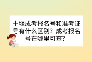 十堰成考报名号和准考证号有什么区别？成考报名号在哪里可查？