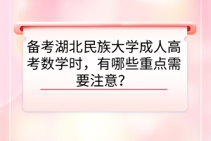 备考湖北民族大学成人高考数学时，有哪些重点需要注意？