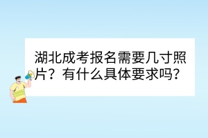 湖北成考报名需要几寸照片？有什么具体要求吗？