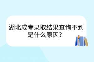 湖北成考录取结果查询不到是什么原因？