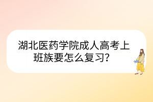 湖北医药学院成人高考上班族要怎么复习？