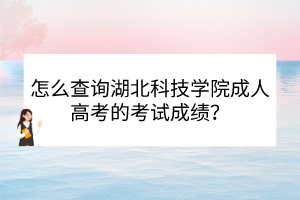 怎么查询湖北科技学院成人高考的考试成绩？