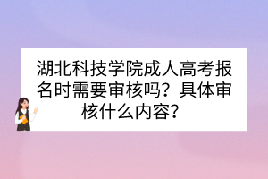 湖北科技学院成人高考报名时需要审核吗？具体审核什么内容？