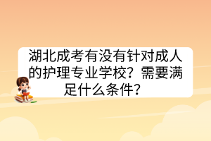 湖北成考有没有针对成人的护理专业学校？需要满足什么条件？