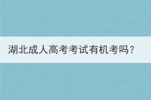 湖北成人高考考试有机考吗？