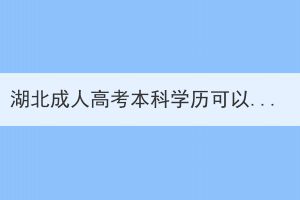 湖北成人高考本科学历可以报考研究生考试吗？