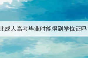 湖北成人高考毕业时能得到学位证吗？