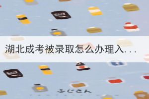 湖北成考被录取怎么办理入学手续