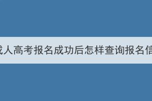 湖北成人高考报名成功后怎样查询报名信息？