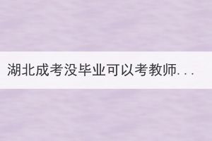 湖北成考没毕业可以考教师资格证吗？