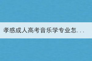 孝感成人高考音乐学专业怎么样？