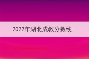 2022年湖北成教分数线