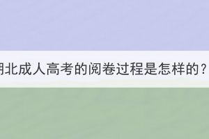 湖北成人高考的阅卷过程是怎样的？