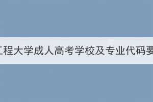 2023年武汉工程大学成人高考学校及专业代码要在哪里看？