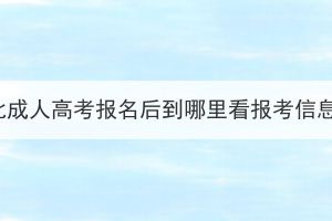 湖北成人高考报名后到哪里看报考信息？