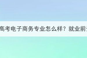 湖北成人高考电子商务专业怎么样？就业前景如何？