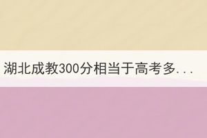 湖北成教300分相当于高考多少分？