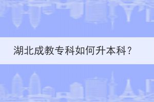 湖北成教专科如何升本科？