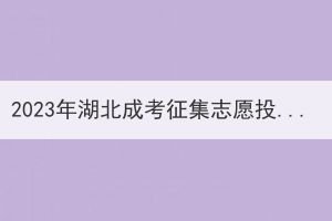 2023年湖北成考征集志愿投档录取是什么政策？