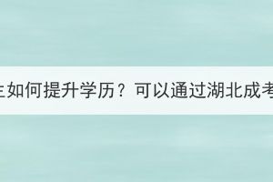 高中生如何提升学历？可以通过湖北成考吗？