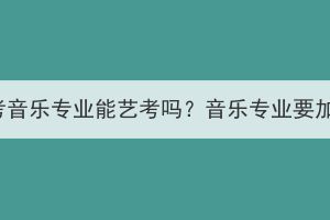 湖北成考音乐专业能艺考吗？音乐专业要加试吗？