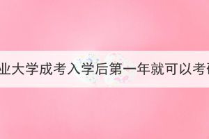 华中农业大学成考入学后第一年就可以考研吗？