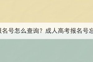 湖北成人高考报名号怎么查询？成人高考报名号忘记了怎么办？