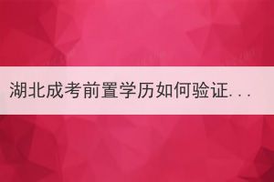 湖北成考前置学历如何验证？