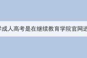 华中师范大学成人高考是在继续教育学院官网进行报名吗？