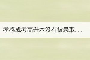 孝感成考高升本没有被录取能报成考专科吗？