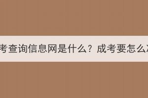 湖北成考查询信息网是什么？成考要怎么准备？