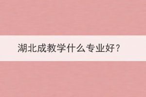 湖北成教学什么专业好？