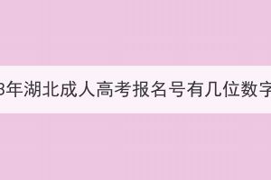 2023年湖北成人高考报名号有几位数字？