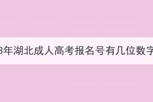 2023年湖北成人高考报名号有几位数字？