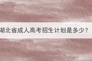 湖北省成人高考招生计划是多少？